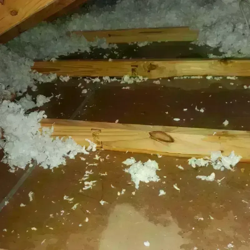 Attic Water Damage in Preble County, OH